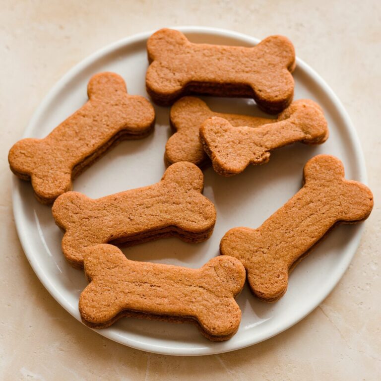 Homemade banana carrot dog treats