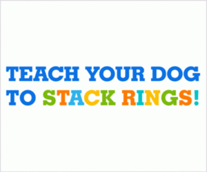 Teach Your Dog to Stack Rings