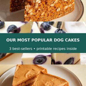 Our 3 Most Popular Dog Cakes That Your Furry Friend Will Love