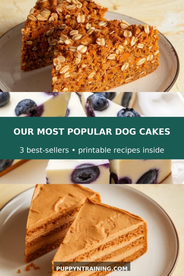 Our 3 Most Popular Dog Cakes That Your Furry Friend Will Love